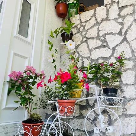 Apartament Blago Warna