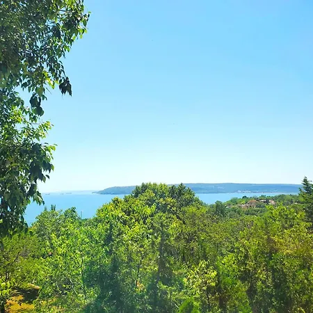 Blago Varna